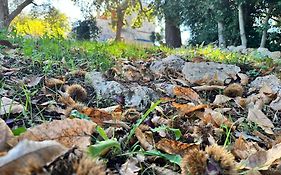 Il Trullo E Il Fortino