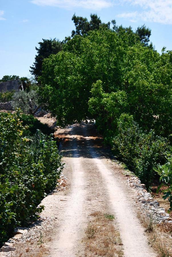 Il Trullo E Il Fortino Alberobello Extérieur photo